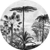 papier peint panoramique rond adhésif paysage tropical avec des palmiers noir et blanc - Ø 70 cm - 158982