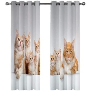 rideau de cuisine orange cdiscount