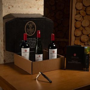 Vins Rouges - Coffret Cadeau Caisse Bois Griffe Barreyres Aop Haut Médoc Vin  Rouge Millésime 2018 - La cave Cdiscount