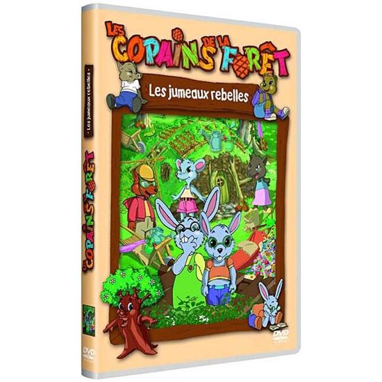 DVD Les Copains de la forêt Le masque magique Cdiscount DVD