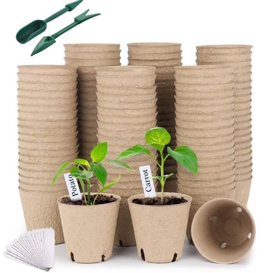 Semis Verts En Pots Biodégradables Plantes Vertes En Pots De Tourbe Semis De Jeunes Plants En