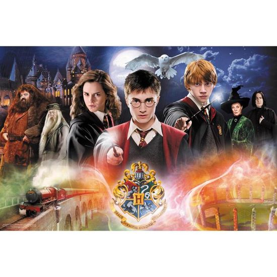 Puzzle 300 pièces TREFL Harry Potter Le Secret Dessins animés et BD Age minimum 8 ans