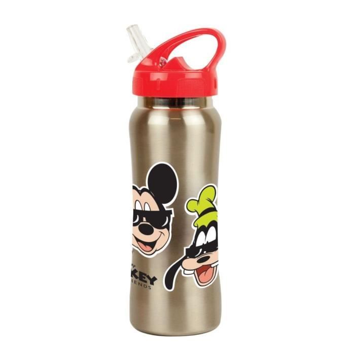 GOURDE ALU MICKEY DONALD DINGO