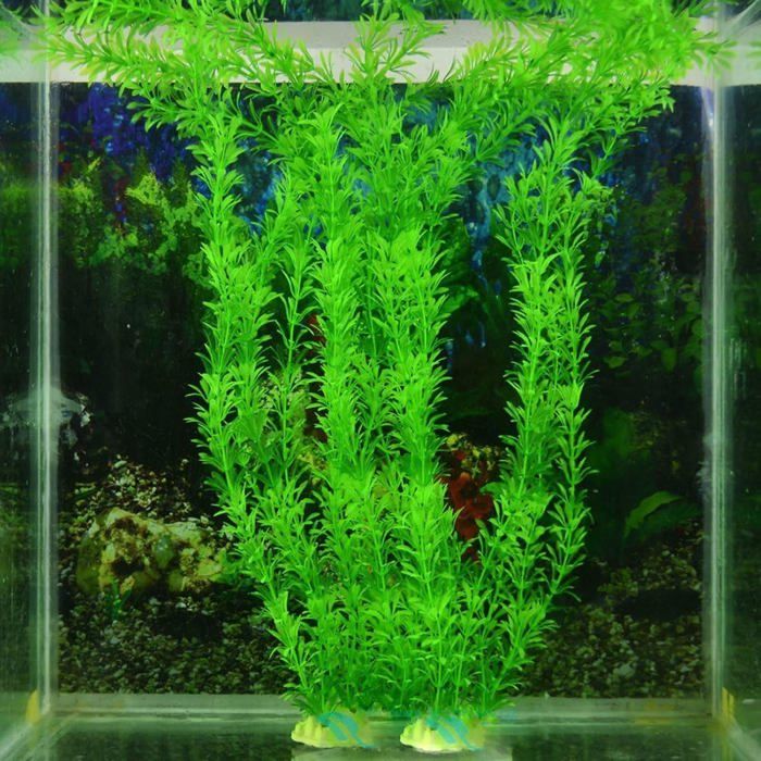 Plante artificielle - Non spécifié - Aquarium - Plastique - Vert - Décoration sécurisée pour poissons