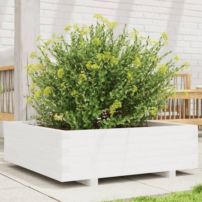 vidaXL Jardinière Bois Pin
