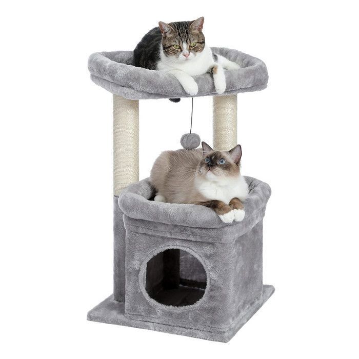 Meilleurs prix pour PAWZ Road Petit Arbre à Chat 60 cm, Tour de Jeux avec 2 Poteaux à Griffer Robuste, 1 Condo Spacieux & 1 Grand Perchoir, Gris