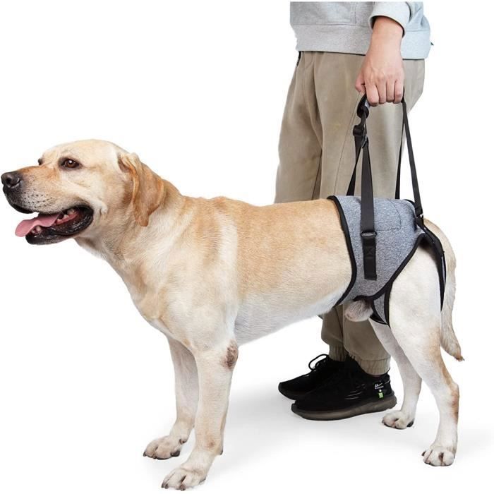 Harnais de Levage pour Chien – Harnais de Soutien pour Pattes arrière – Écharpe de Soutien Souple pour Chiens (L Gris) Étiquette