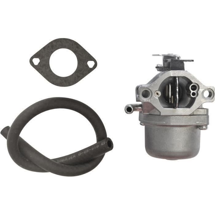 Carburateur BRIGGS ET STRATTON 794653