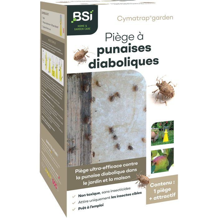 Piège punaises diaboliques - BSI - Maison et extérieur - Non toxique - Avec attractif - Cymatrap