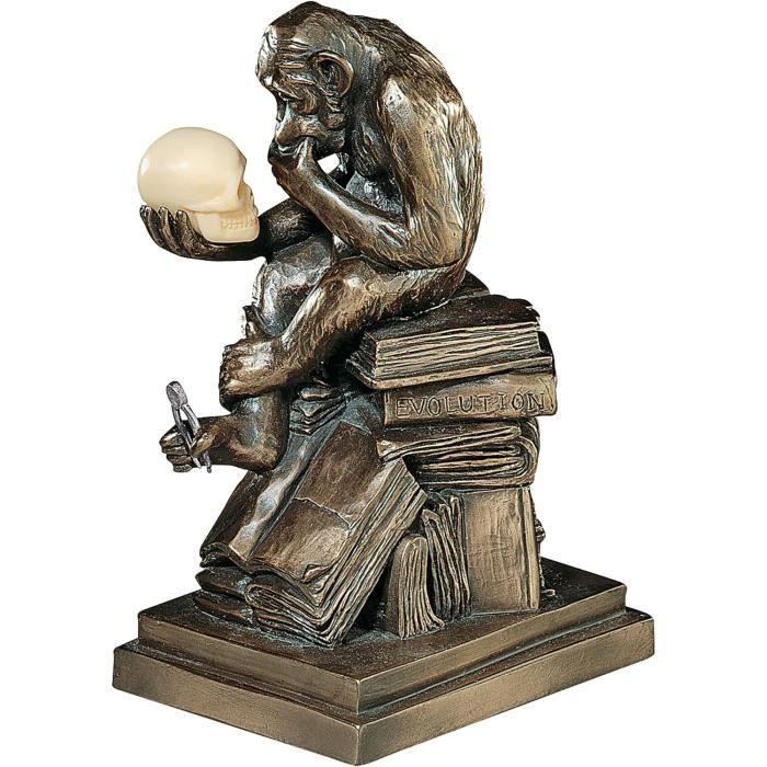 T-shirt Humour Airsoft “Evolution Of Airsoft” – Design Darwin Singe à Homme, Marque Galaxy Tees UK