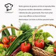 graine de CITRON JAUNE de MENTON légume BIO + livre gratuit 5 graines certifié permaculture CookToque®-1