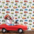 Papier Peint Camions et Transport Multicolore - Enfants - World of Wallpaper AF0002-2