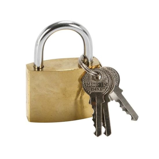 COGEX 80017 Cadenas Acier 30 millimètres 30 mm Dore 