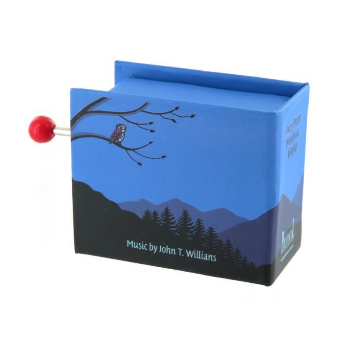 Boîte à musique en bois à manivelle Harry Potter - ESTINK - Mélodie Harry  Potter - Blanc - 10cm x 6cm x 4cm - Cdiscount Jeux - Jouets