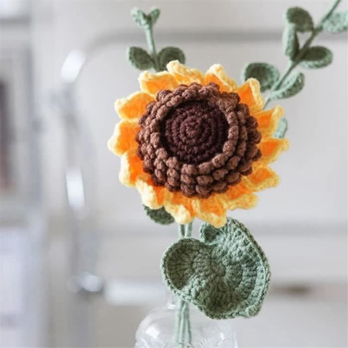 Kit De Crochet Pour Débutants, Kit De Crochet Pour Plantes En Pot À  Suspendre, Crochet, Fournitures