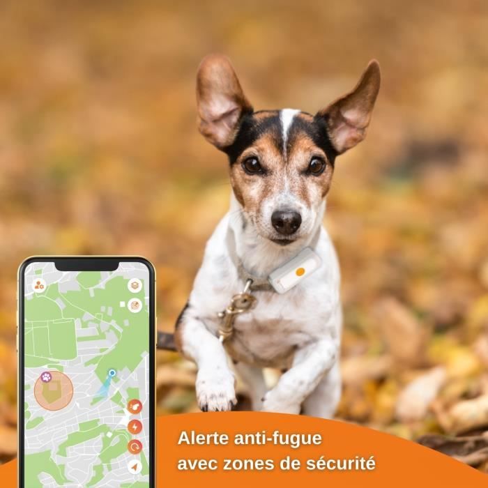 Collier GPS pour chien – Weenect Dogs 2 - Suivi GPS en temps réel, Sans  limite de distance, Plus petit modèle du marché - Cdiscount