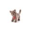 peluche chartreux