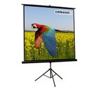 Ecran de projection - CELEXON - Sur pied - 244 x 244 cm - Gain 1.0 - Format 1:1