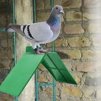 10 pièces en plastique petit vert anti-dérapant Design colombe repose-pigeon perchoirs perchoir cadre oiseau fournitures -BOH