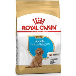 CROQUETTES Nourriture pour chiens ROYAL CANIN Croquettes Chiot – Caniche, 3 kg 35957