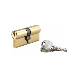Sterling Int Ext BS1 ETN4040 Cylindre De Porte En Nickel Satiné Intérieur 40 Mm Extérieur 50 Mm (90 Mm Au Total