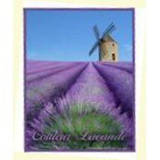 PLAQUE METAL 40X30cm AMBIANCE COULEURS DE PROVENCE