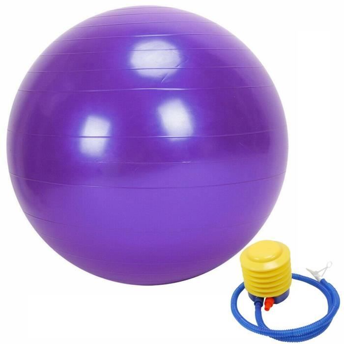 Exercice GYM Yoga Ball Fitness Grossesse Accouchement Anti Burst + Pompe 45cm g2505