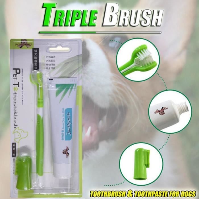 Brosse à dents pour chien et dentifrice Meilleur nettoyage des dents HQJ90517579 ENCLOS CHENIL