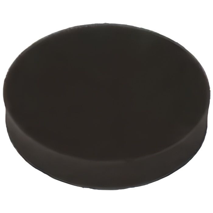 Filtre mousse Air Force Extreme Aspirateur Rowenta (ZR903901)