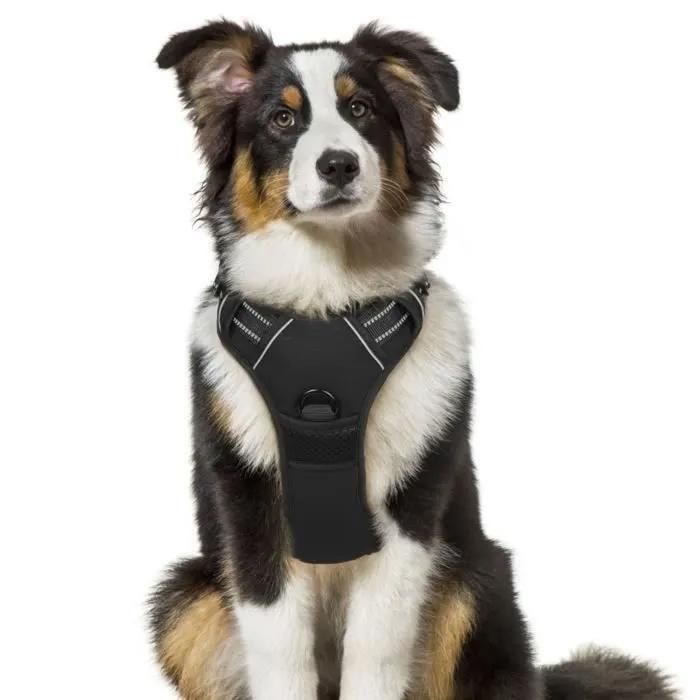 Harnais Gilet Pour Chien Taille M Noir Réglable Réfléchissant Matériau Respirant