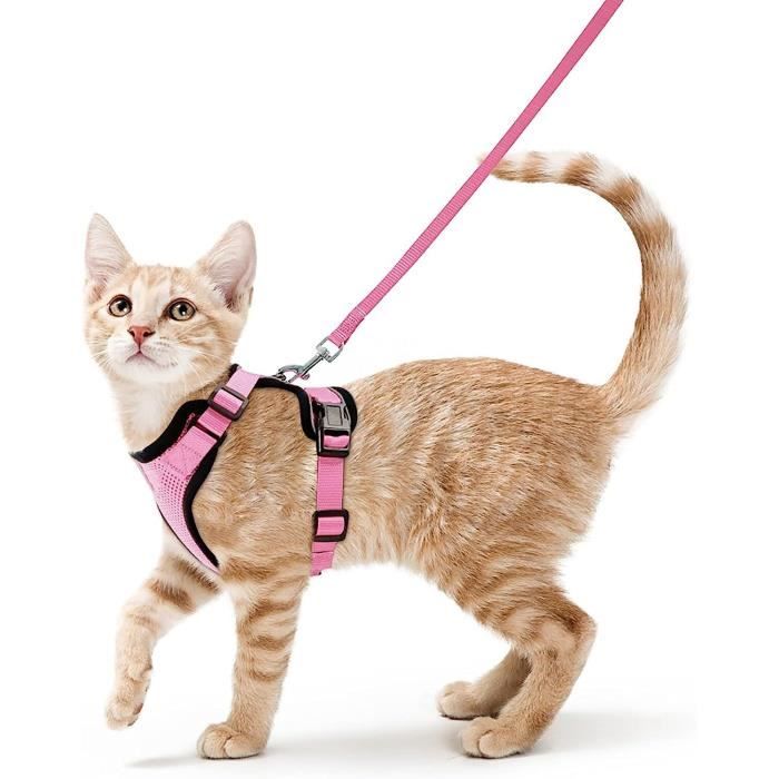 Comparer les prix de Harnais pour Chat/Chien Rose S Réglable - Gilet Réfléchissant Respirant