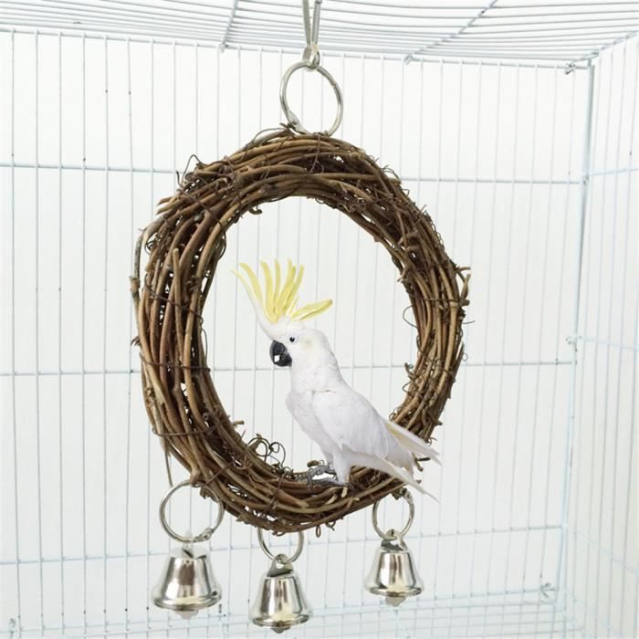 Jouet Cage Perroquet Balancoire Animaux Oiseau Morsures Chew Jouets Pour Perruche Calopsitte Cacatoes Conur Cdiscount