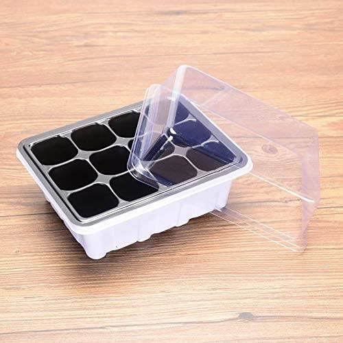 Plateaux De Semis Constprog - Lot De 10 à 120 Cellules - Noir, Réutilisables - Pour Légumes Et Fleurs