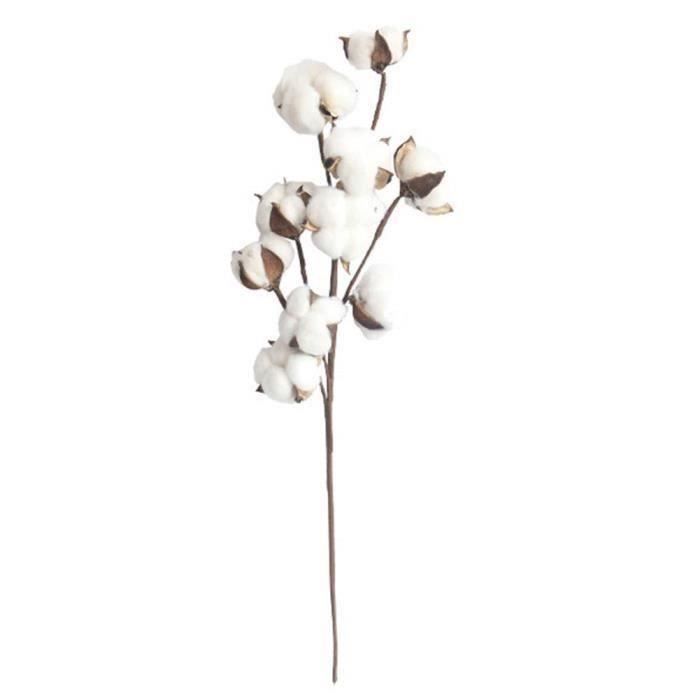 3 Pcs séchées Boule de coton tige， Naturel Fait à la main 10heads Blossom Coton  Tige Style ferme DIY Décor floral pour H - Cdiscount Bricolage