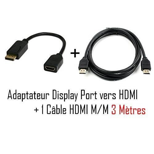 INECK® Adaptateur vidéo DisplayPort vers HDMI - Convertisseur DP vers HDMI  - Mâle-Femelle - 1920x1200-1080p - Noir - Cdiscount Informatique