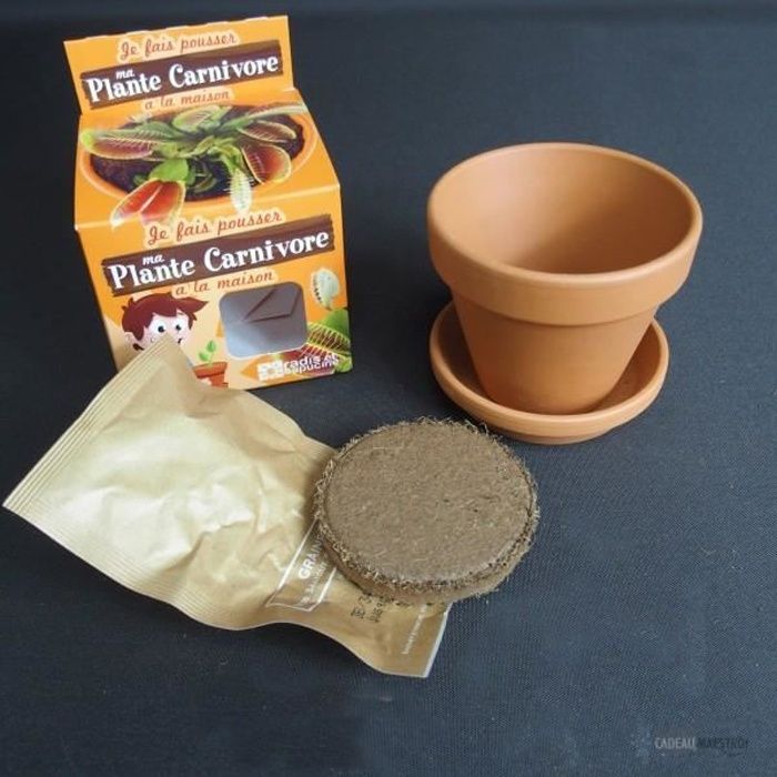 Kit de plantation plante carnivore - Cadeau Maestro