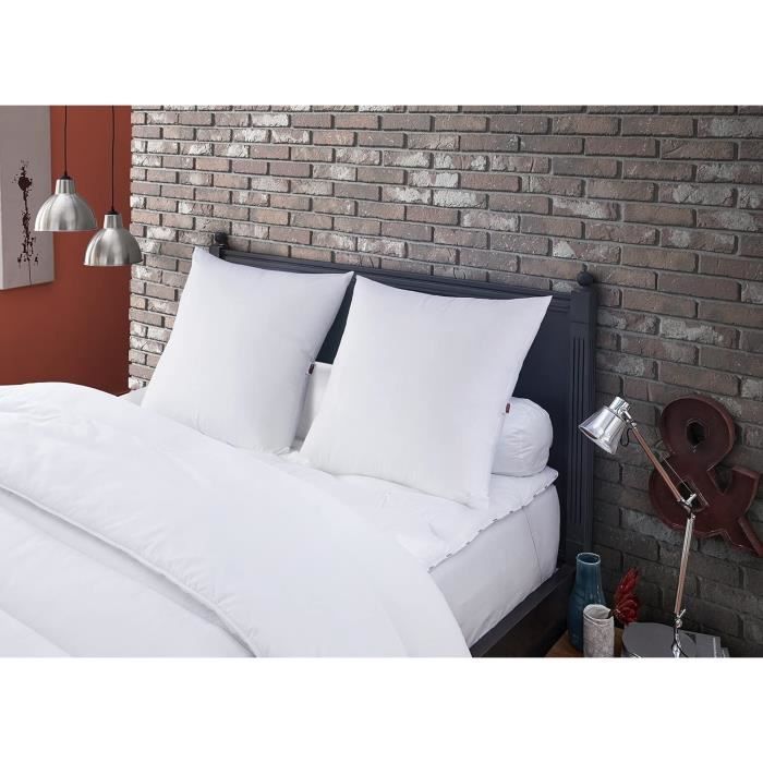 Oreiller Anti-acariens DODO 60x60cm - Protection Punaises De Lit - Lavable Machine