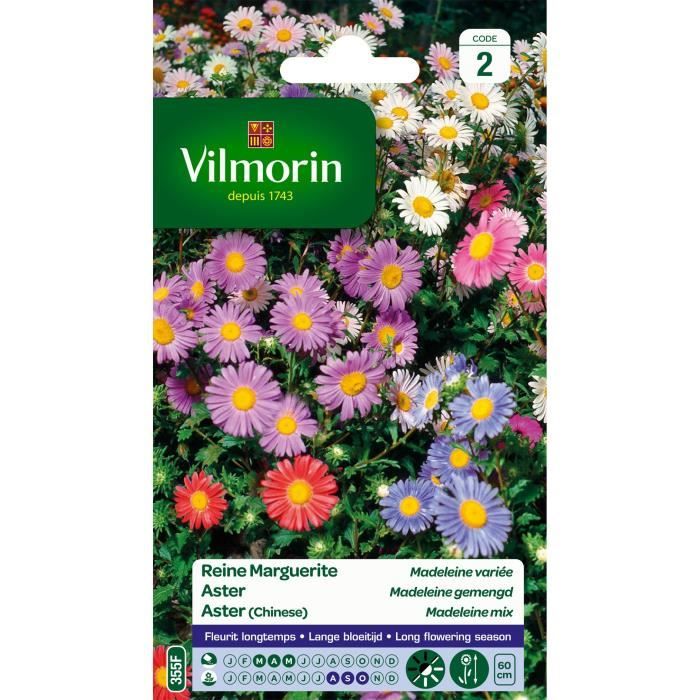 VILMORIN Reine marguerite Madeleine variée