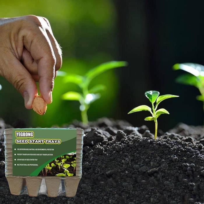 Lot De 6 Plateaux De Germination Plantes Avec Trous - Démarreur Semis Jardinage 54,5x28,5cm