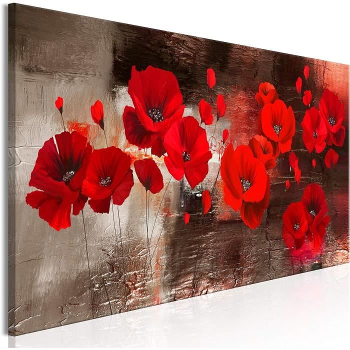 Tableau sur toile, Fleur de coquelicot nature 30x30 | Leroy Merlin