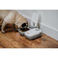 Cat Mate Gamelle automatique à deux repas pour animaux de compagnie (C200)-3
