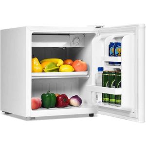 Banapoy Réfrigérateur de Voiture 12V, glacière Portable 12L à