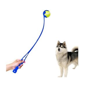 DIVISTAR Balles de tennis pour chien – 24 cm Balle de tennis géante à  mâcher pour animal domestique – Grande balle de tennis gonflable signature  Mega