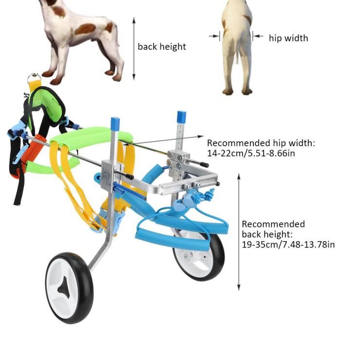 Xuyan Animal Chariot Fauteuil Roulant à 2 Roulettes Corde de Traction Chien Chat Handicapé Outil Marche Aide XS