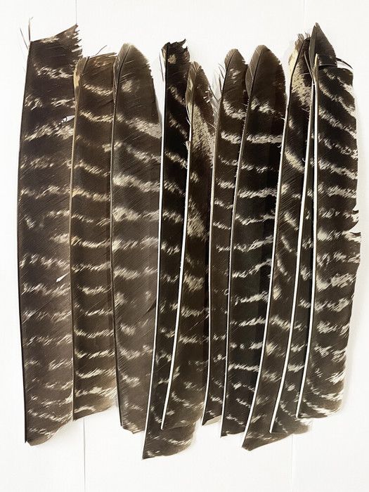 Plumes De Flèche Naturelles MILAEM – 50 Pièces De 4 Pouces (10 Cm) – Pour Tir à L’arc, Chasse, DIY – Couleurs Variées (bleu, Rose, Rouge, Etc.)