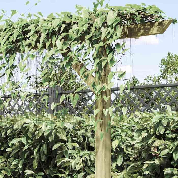 Pergola de jardin en bois - WIENS - 410x40x203 cm - Bois de pin imprégné - Résistance à la pourriture