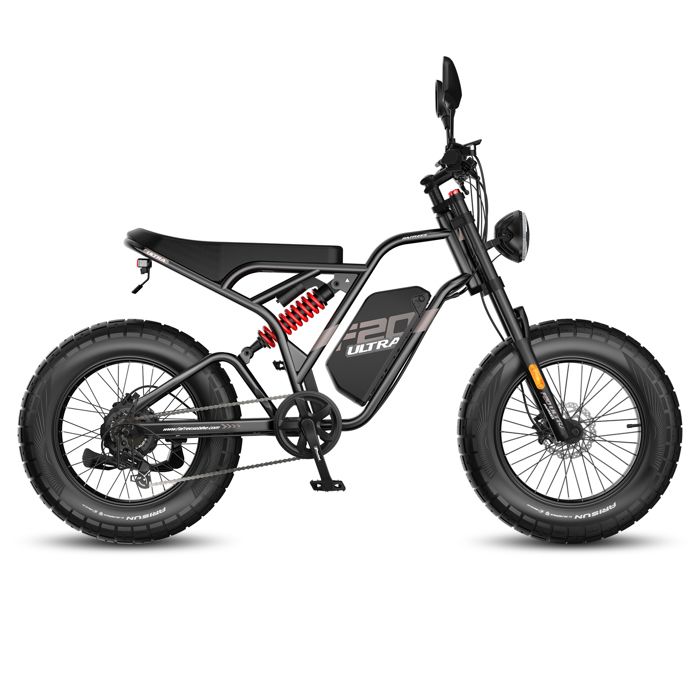 Vélo Électrique L1e-B Fafrees F20 Ultra – 48V 750W 25Ah Fat Bike 20×5.0” Noir