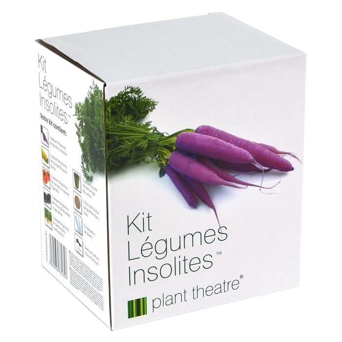 Plant Theatre - Graines de légumes - Kit de légumes insolites avec 5  sachets de graines (carottes, courgettes, choux de Bruxelles, graines de  blettes