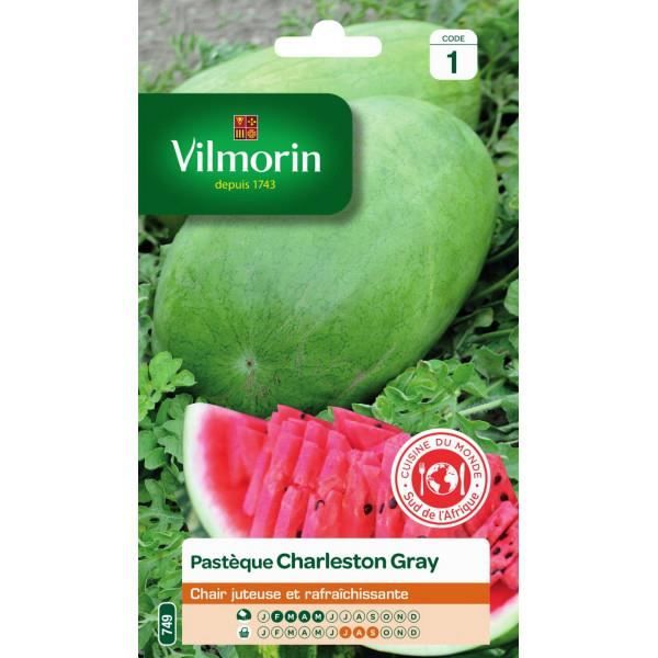 Pin Button Badge Ø38mm Pasteque Fruit Vegetal Vitamine Graine Botanique 