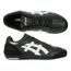 asics striker